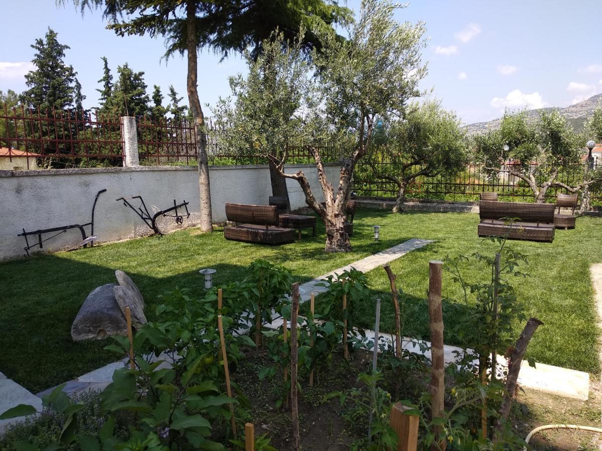 Apartment Agnanti Apts And Agio Pnevma