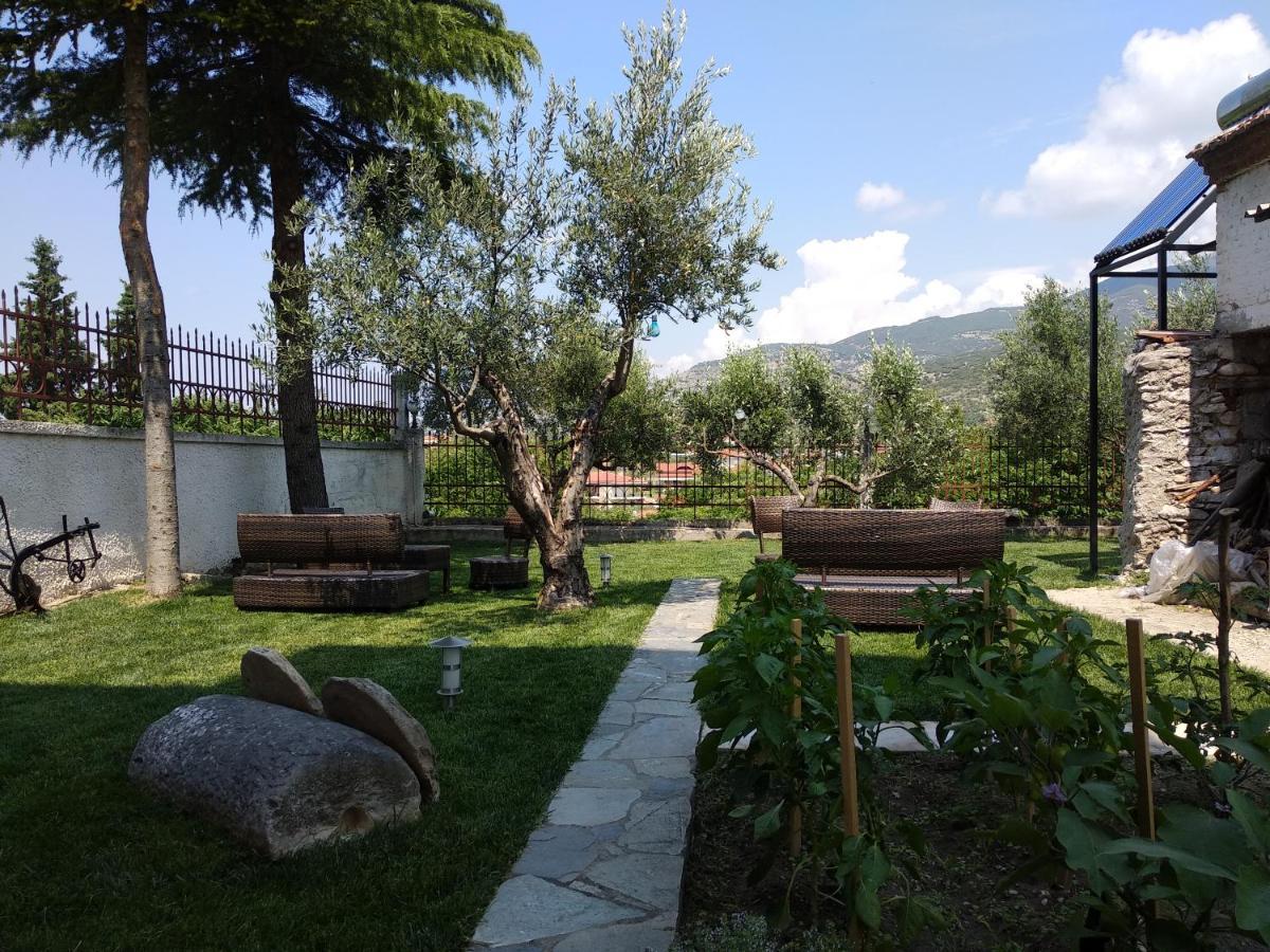 Agnanti Apts And Apartment Agio Pnevma